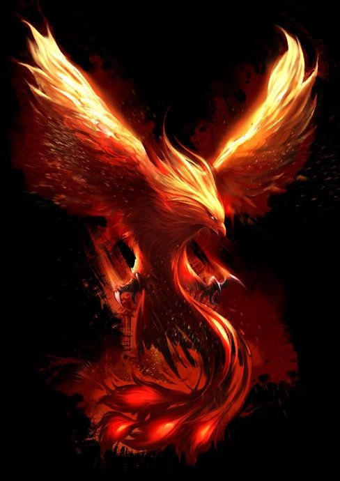 Phoenix Wanabe